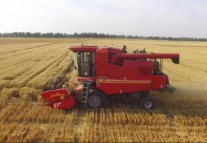 新疆小麦机收率达97.48%